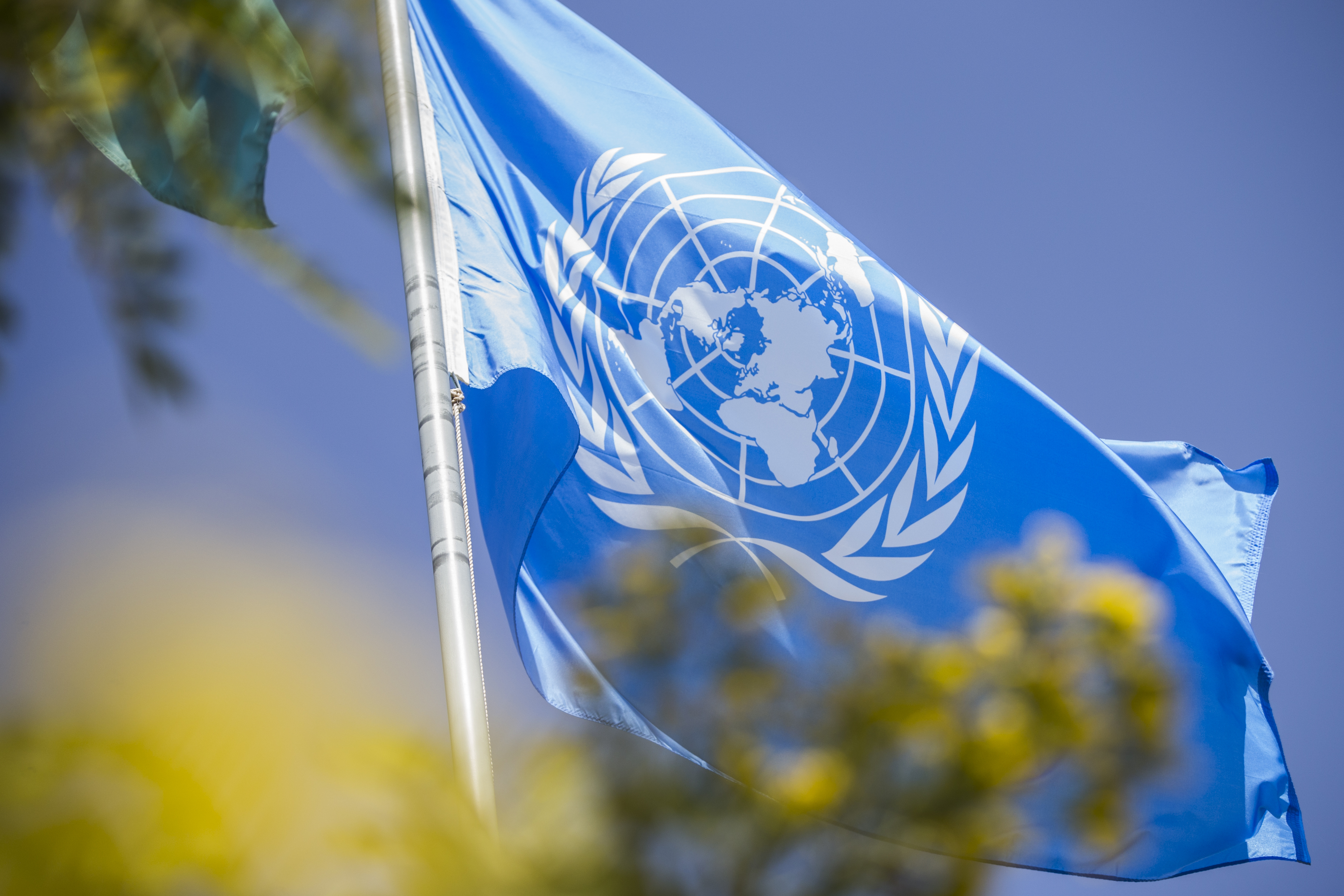 Оон против санкций. Флаг ООН. Генеральная Ассамблея ООН флаг. Флаг организации Объединенных наций. Совбез ООН флаг.